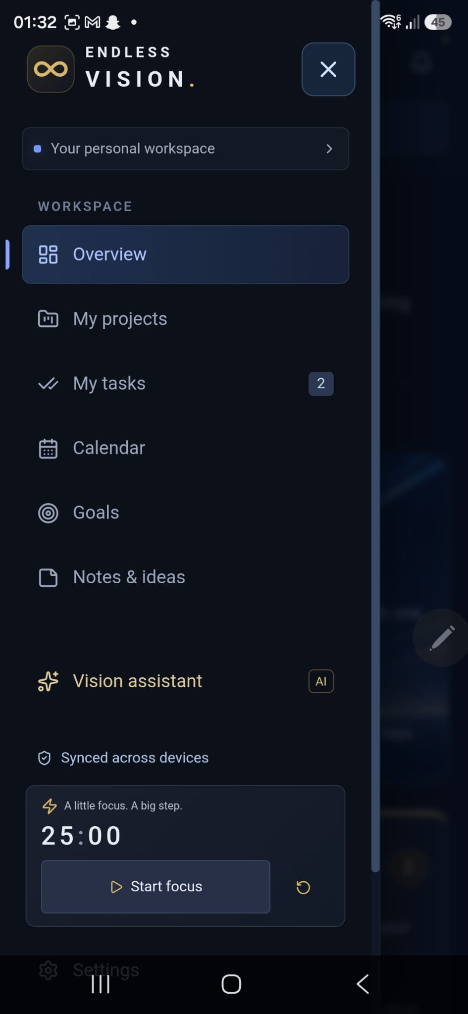 Endless Vision application screenshot